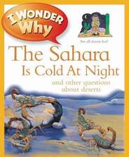 Gaff, J: I Wonder Why the Sahara is Cold at Night