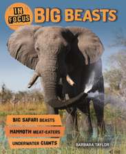 Taylor, B: In Focus: Big Beasts