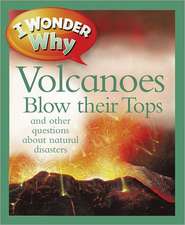 I Wonder Why Volcanoes Blow Their Tops