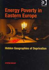 Energy Poverty in Eastern Europe: Hidden Geographies of Deprivation