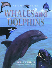 Whales and Dolphins