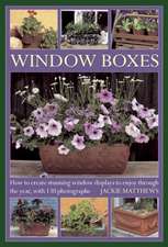 Window Boxes