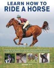 Learn How to Ride a Horse