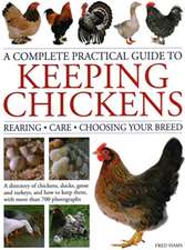 A Complete Practical Guide to Keeping Chickens