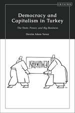 Democracy and Capitalism in Turkey