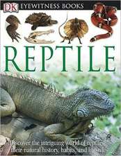 Reptile