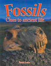 Fossils