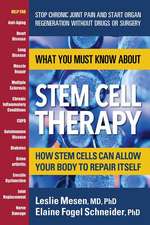 What You Must Know about Stem Cell Therapy