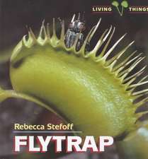 Flytrap