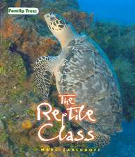 The Reptile Class