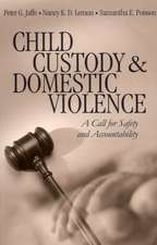 Child Custody and Domestic Violence: A Call for Safety and Accountability