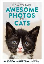 How to Take Awesome Photos of Cats