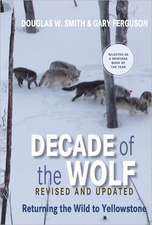 Decade of the Wolf: Returning the Wild to Yellowstone