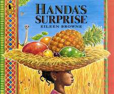 Handa's Surprise