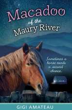 Macadoo: Horses of the Maury River Stables