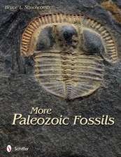 More Paleozoic Fossils