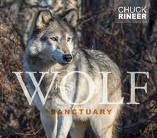 Wolf Sanctuary