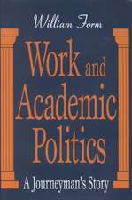 Work and Academic Politics: A Journeyman's Story