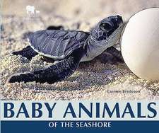 Baby Animals of the Seashore