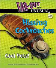 Hissing Cockroaches: Cool Pets!