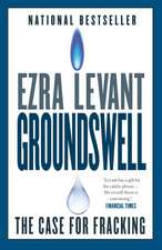 Groundswell