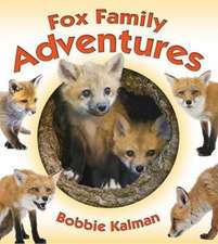 Fox Family Adventures