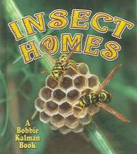 Insect Homes