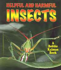 Helpful and Harmful Insects