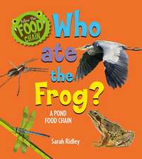 Who Ate the Frog? a Pond Food Chain