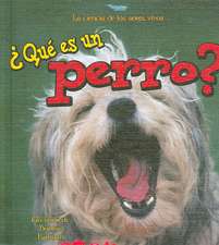 Que Es un Perro?