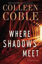 Where Shadows Meet: A Romantic Suspense Novel