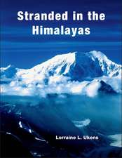 Stranded in the Himalayas: Activity