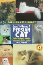 Guide to Owning a Persian Cat: 