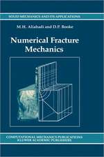 Numerical Fracture Mechanics