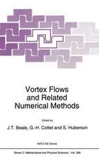 Vortex Flows and Related Numerical Methods