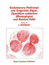 Evolutionary Pathways and Enigmatic Algae: Cyanidium caldarium (Rhodophyta) and Related Cells