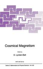 Cosmical Magnetism