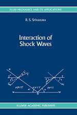 Interaction of Shock Waves