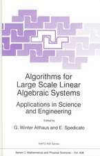 Algorithms for Large Scale Linear Algebraic Systems:: Applications in Science and Engineering