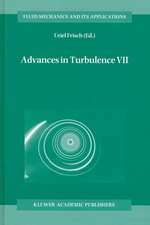 Advances in Turbulence VII