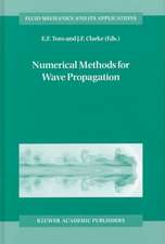 Numerical Methods for Wave Propagation: Selected Contributions from the Workshop held in Manchester, U.K., Containing the Harten Memorial Lecture