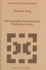 Meromorphic Functions and Projective Curves