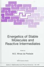 Energetics of Stable Molecules and Reactive Intermediates