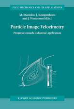 Particle Image Velocimetry: Progress Towards Industrial Application