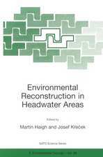 Environmental Reconstruction in Headwater Areas