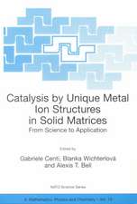 Catalysis by Unique Metal Ion Structures in Solid Matrices: From Science to Application