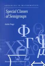 Special Classes of Semigroups