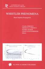 Whistler Phenomena: Short Impulse Propagation