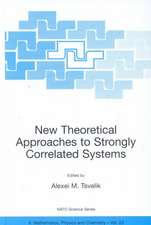 New Theoretical Approaches to Strongly Correlated Systems