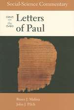 Social-Science Commentary on the Letters of Paul: The Politics of Gender in African American Churches